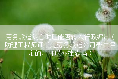 劳务派遣法官助理能否转入行政编制（助理工程师证书是劳务派遣公司帮忙评定的，可以办挂靠吗）