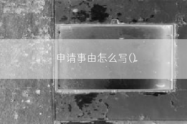 申请事由怎么写()