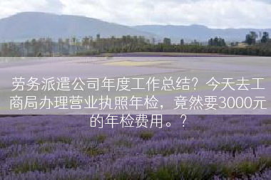 劳务派遣公司年度工作总结？今天去工商局办理营业执照年检，竟然要3000元的年检费用。？
