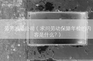 劳务派遣公司（求问劳动保障年检的内容是什么?）
