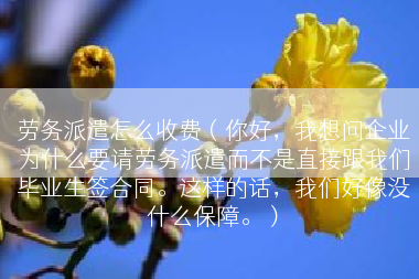 劳务派遣怎么收费（你好，我想问企业为什么要请劳务派遣而不是直接跟我们毕业生签合同。这样的话，我们好像没什么保障。）