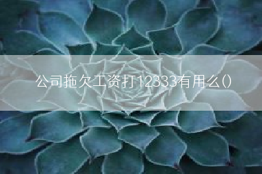 公司拖欠工资打12333有用么()