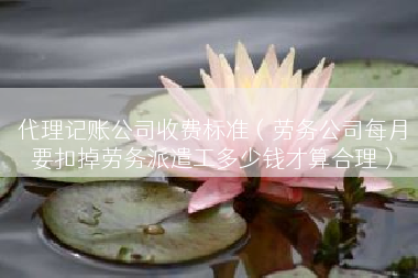 代理记账公司收费标准（劳务公司每月要扣掉劳务派遣工多少钱才算合理）