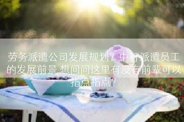 劳务派遣公司发展规划？中行派遣员工的发展前景 想问问这里有没有前辈可以指点指点？