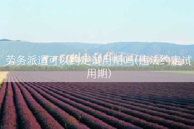 劳务派遣可以约定试用期吗(违法约定试用期)