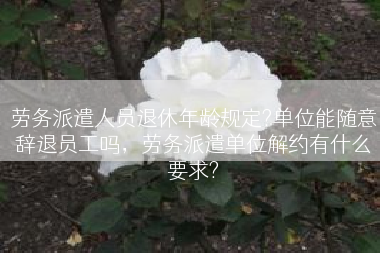 劳务派遣人员退休年龄规定?单位能随意辞退员工吗，劳务派遣单位解约有什么要求?