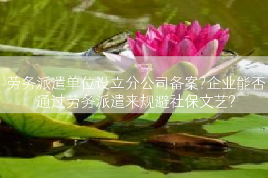 劳务派遣单位设立分公司备案?企业能否通过劳务派遣来规避社保文艺?