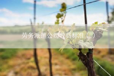 劳务派遣公司收费标准（）