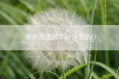 劳务派遣员工社保缴纳()
