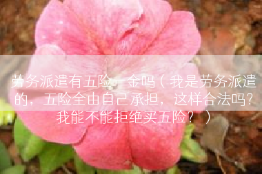 劳务派遣有五险一金吗（我是劳务派遣的，五险全由自己承担，这样合法吗？我能不能拒绝买五险？）