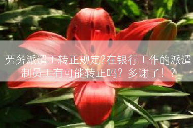 劳务派遣工转正规定?在银行工作的派遣制员工有可能转正吗？多谢了！?