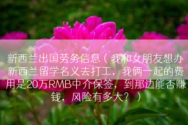 新西兰出国劳务信息（我和女朋友想办新西兰留学名义去打工，我俩一起的费用是20万RMB中介保签，到那边能否赚钱，风险有多大？）