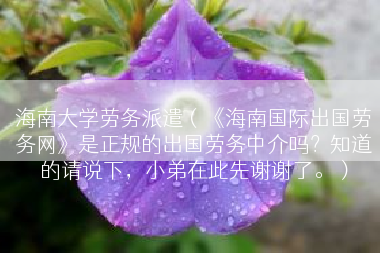 海南大学劳务派遣（《海南国际出国劳务网》是正规的出国劳务中介吗？知道的请说下，小弟在此先谢谢了。）