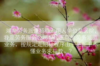 湖南劳务派遣招标？用人单位是医院，我是劳务服务公司想接医院的劳务派遣业务，按规定走招标程序由于是新手不懂业务求指教。？
