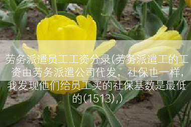劳务派遣员工工资分录(劳务派遣工的工资由劳务派遣公司代发，社保也一样，我发现他们给员工买的社保基数是最低的(1513),)