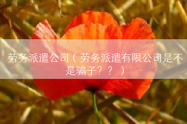 劳务派遣公司（劳务派遣有限公司是不是骗子？？）