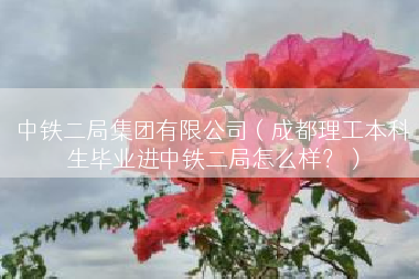 中铁二局集团有限公司（成都理工本科生毕业进中铁二局怎么样？）