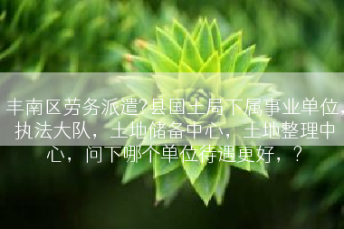 丰南区劳务派遣?县国土局下属事业单位，执法大队，土地储备中心，土地整理中心，问下哪个单位待遇更好，?