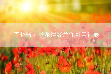 吉林省劳务派遣经营许可申请表