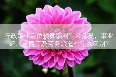 行政事业单位预算编制？公务员，事业编，合同工及劳务派遣有什么区别？