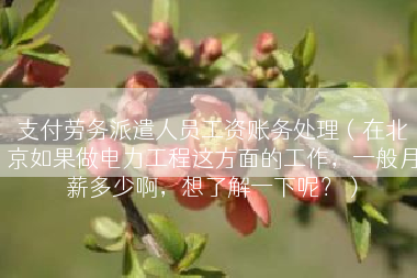 支付劳务派遣人员工资账务处理（在北京如果做电力工程这方面的工作，一般月薪多少啊，想了解一下呢？）