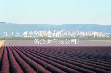 江西卓越劳务派遣有限公司?江西纳才劳务派遣有限公司?