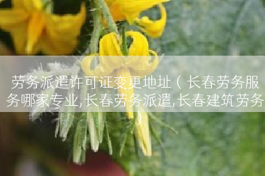 劳务派遣许可证变更地址（长春劳务服务哪家专业,长春劳务派遣,长春建筑劳务）