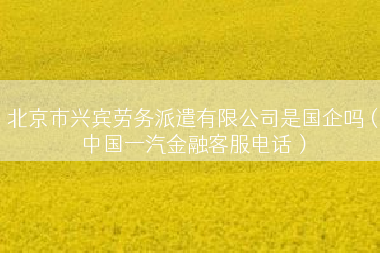北京市兴宾劳务派遣有限公司是国企吗（中国一汽金融客服电话）