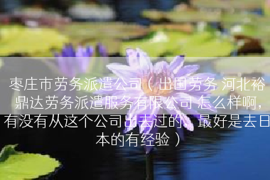 枣庄市劳务派遣公司（出国劳务 河北裕鼎达劳务派遣服务有限公司 怎么样啊，有没有从这个公司出去过的，最好是去日本的有经验）