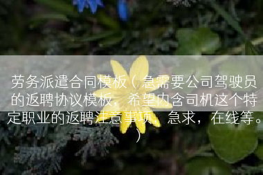 劳务派遣合同模板（急需要公司驾驶员的返聘协议模板，希望内含司机这个特定职业的返聘注意事项，急求，在线等。）
