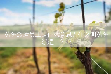 劳务派遣员工是什么意思？什么叫劳务派遣工？.？