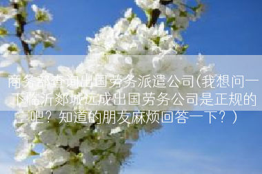 商务部查询出国劳务派遣公司(我想问一下临沂郯城远成出国劳务公司是正规的吧？知道的朋友麻烦回答一下？)