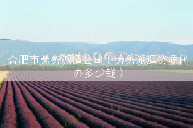 合肥市劳务派遣公司（劳务派遣资质代办多少钱）