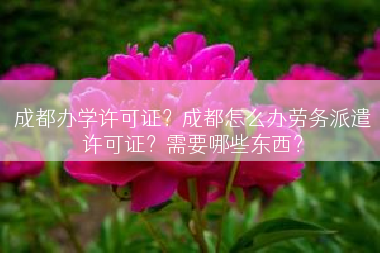 成都办学许可证？成都怎么办劳务派遣许可证？需要哪些东西？