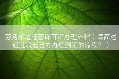 劳务派遣经营许可证办理流程（请简述通过派遣自办办理到证的流程？）