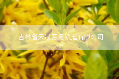 吉林省天晟劳务派遣有限公司