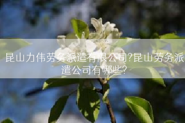 昆山力伟劳务派遣有限公司?昆山劳务派遣公司有哪些?