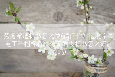 劳务派遣标书怎么做(请问你知道北京国电工程招标有限公司的投标书怎么编制的吗)