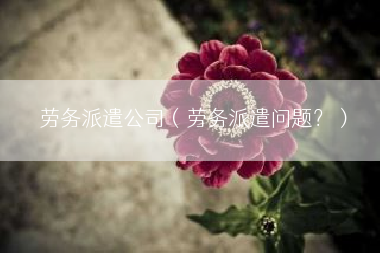 劳务派遣公司（劳务派遣问题？）