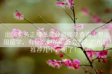 出国劳务正规派遣公司哪里查询（想出国留学，有什么好的中介公司？广州的！推荐几个，谢了！）
