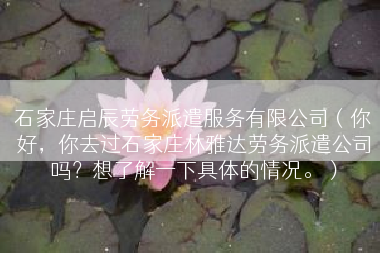 石家庄启辰劳务派遣服务有限公司（你好，你去过石家庄林雅达劳务派遣公司吗？想了解一下具体的情况。）