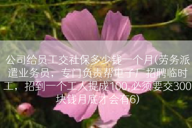 公司给员工交社保多少钱一个月(劳务派遣业务员，专门负责帮电子厂招聘临时工，招到一个工人提成100,必须要交300块钱月底才会有6)