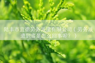 陆丰市宜德劳务派遣有限公司（劳务派遣到底是怎么回事呢？）
