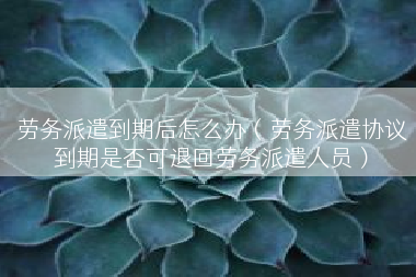 劳务派遣到期后怎么办（劳务派遣协议到期是否可退回劳务派遣人员）