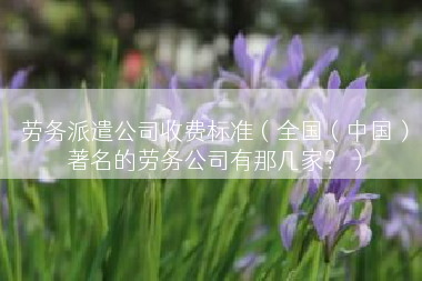 劳务派遣公司收费标准（全国（中国）著名的劳务公司有那几家？）
