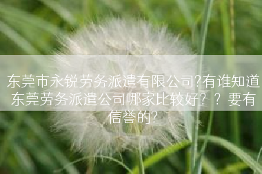 东莞市永锐劳务派遣有限公司?有谁知道东莞劳务派遣公司哪家比较好？？要有信誉的?