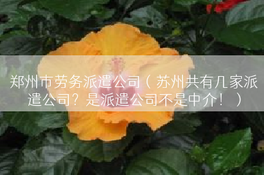 郑州市劳务派遣公司（苏州共有几家派遣公司？是派遣公司不是中介！）