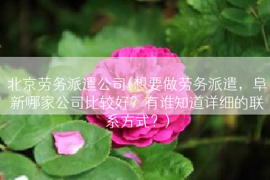 北京劳务派遣公司(想要做劳务派遣，阜新哪家公司比较好？有谁知道详细的联系方式？)