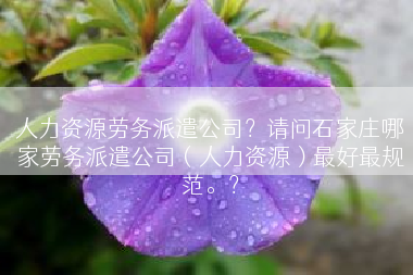 人力资源劳务派遣公司？请问石家庄哪家劳务派遣公司（人力资源）最好最规范。？
