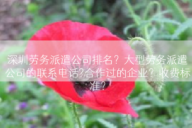 深圳劳务派遣公司排名？大型劳务派遣公司的联系电话?合作过的企业？收费标准？